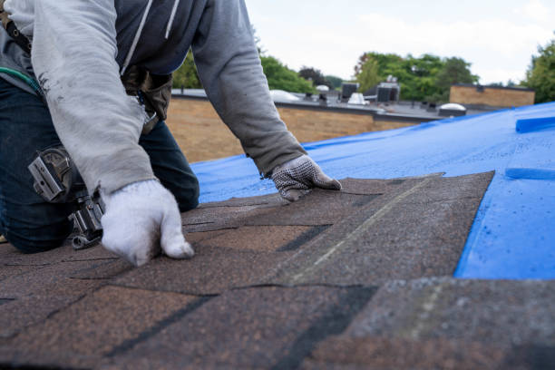Quick and Trustworthy Emergency Roof Repair Services in Cove Creek, NC